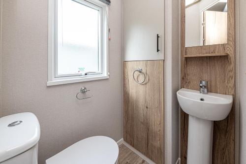 Bilik mandi di The Elwy, 37 Caeran Caravan Park