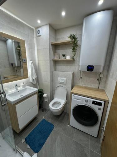 a bathroom with a toilet and a sink and a washing machine at Blue Winter Heaven in Jahorina