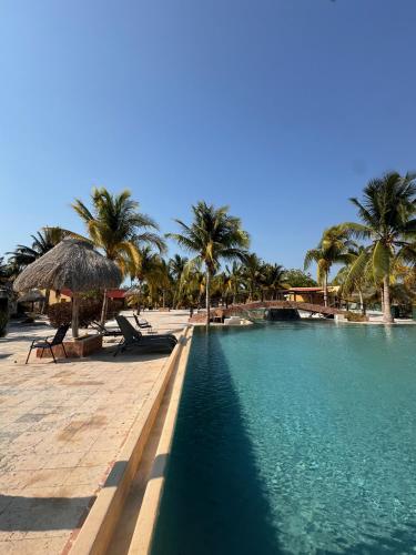 a swimming pool with palm trees and a beach at Beachfront department Celestun in Celestún
