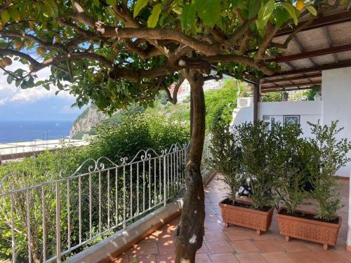 Naturlandskabet i nærheden af feriehuset