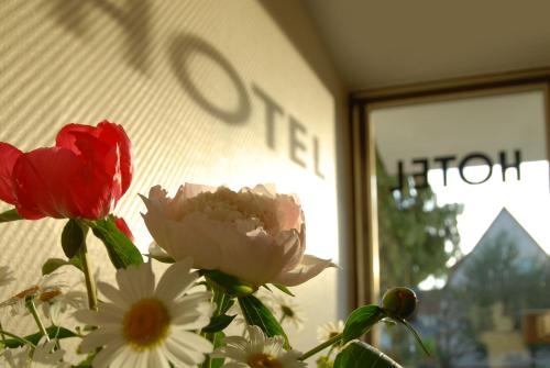 a vase with flowers in front of a window at Hotel Schaumburg in Bad Pyrmont