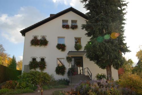 Zahrada ubytování Hotel Schaumburg