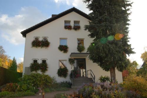 ein weißes Haus mit Blumenkästen an den Fenstern in der Unterkunft Hotel Schaumburg in Bad Pyrmont