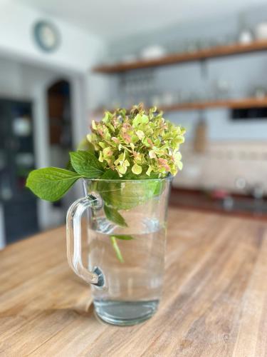 a glass mug with flowers in it on a table at Casa taller in Tigre