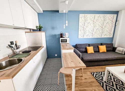 une cuisine et un salon avec un canapé dans l'établissement Le Cosy - studio proche basilique saint Rémi, à Reims
