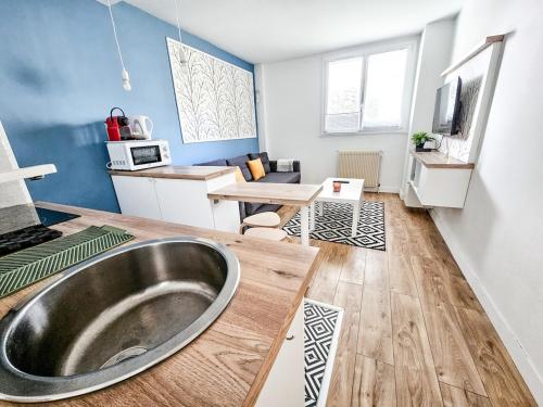 La salle de bains est pourvue d'un lavabo. dans l'établissement Le Cosy - studio proche basilique saint Rémi, à Reims