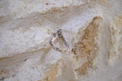 a snake sitting on a wall in the dirt at Dimora Antica Falegnameria - tra STORIA e RELAX in Ostuni