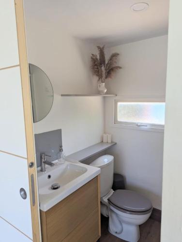 une petite salle de bain avec toilettes et lavabo dans l'établissement Cottage with Natural Pool, à LʼIsle-sur-la-Sorgue