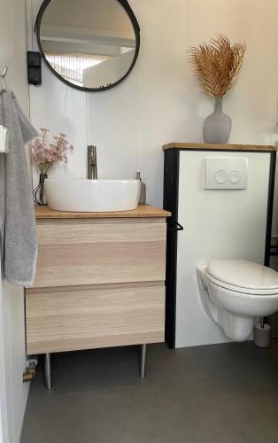 Bilik mandi di Tiny House 76 Leekstermeer