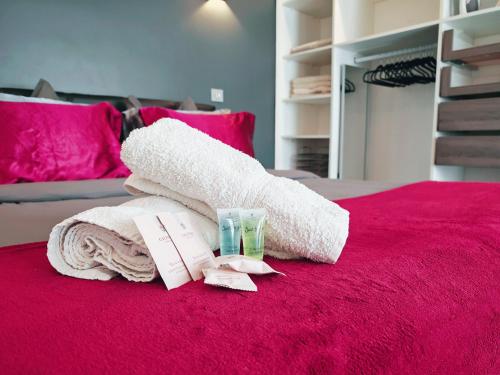 Magnifique appartement le Cannet,Cannes, Parking, Wifi