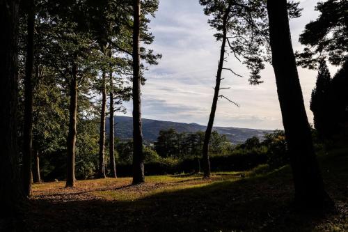 a forest of trees with a view of the mountains at Le Chalet du Haut du Bout in Fraize