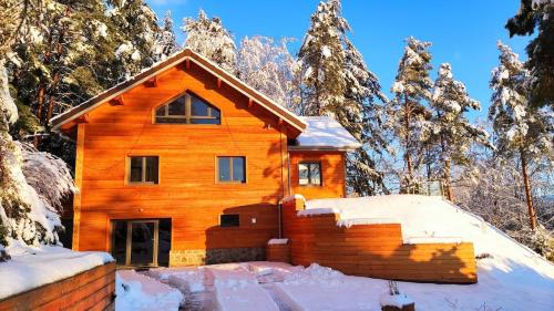 a log cabin in the snow with trees at Le Chalet du Haut du Bout in Fraize