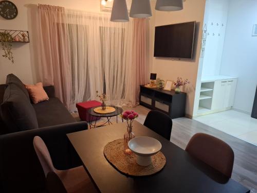 Μια τηλεόραση ή/και κέντρο ψυχαγωγίας στο Apartman Roko