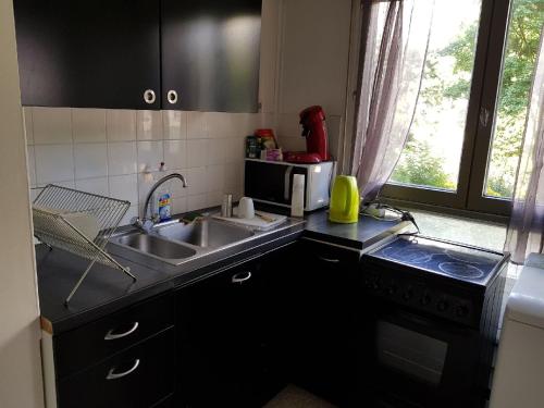 une cuisine avec un évier et un micro-ondes dans l'établissement Grand Studio 25 min Paris Porte Maillot, à Saint-Gratien