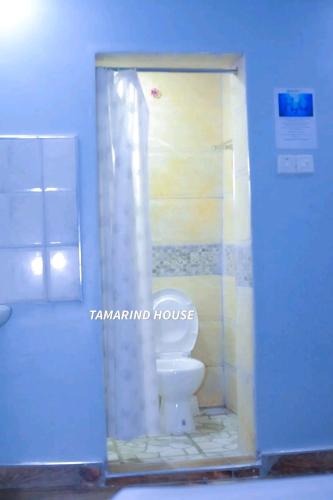 a bathroom with a toilet and a shower at Tamarind Breeze House in Mariakani