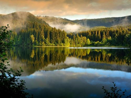 a lake in the middle of a forest at Ferienhaus in Schierke mit Garten in Schierke