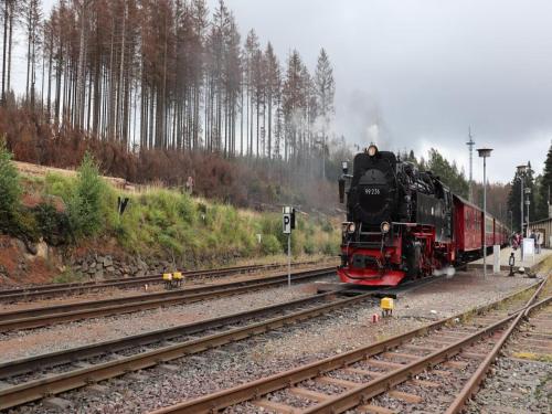 a steam train is traveling down the tracks at Ferienhaus in Schierke mit Garten in Schierke