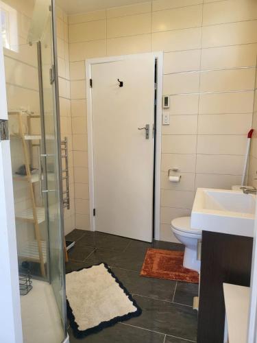 a bathroom with a toilet and a glass door at Gem on Bastia Hill in Whanganui