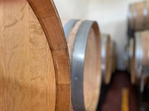a bunch of wine barrels lined up in a row at The Langworthy Inn & Winery in Westerly