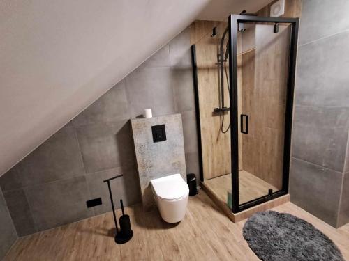 a bathroom with a shower and a toilet at Agroturystyka W ogrodzie babci Ani in Kościeniewicze