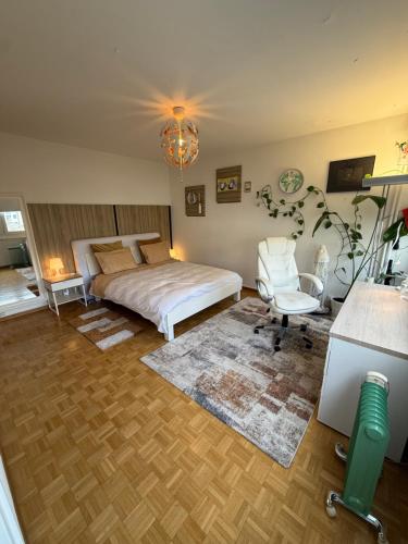 Appartement 1,5 Genève Lac
