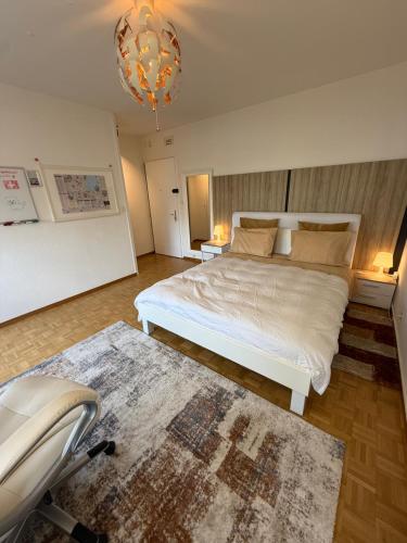 Appartement 1,5 Genève Lac