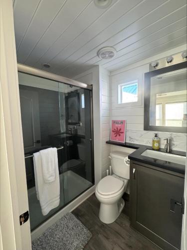 a bathroom with a toilet and a shower and a sink at Blue Bliss at Roadrunner Resort in Parker