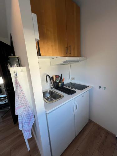 Η κουζίνα ή μικρή κουζίνα στο Studio apartment in Hafnarfjordur