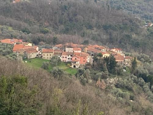 a group of houses on the side of a hill at La Casetta Valdonica La Spezia in Calice al Cornoviglio