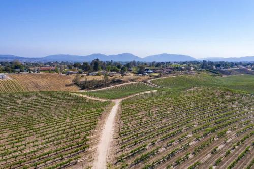 an aerial view of a vineyard with a dirt road at Vineyard Escape - Pool & Views by Allevo Homes in Country Road Estates