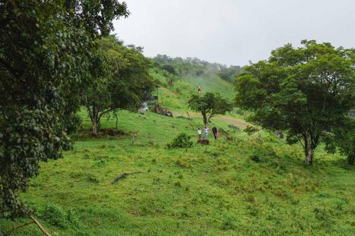 a group of people on a grassy hill with trees at Finca Murillo in Monteverde Costa Rica