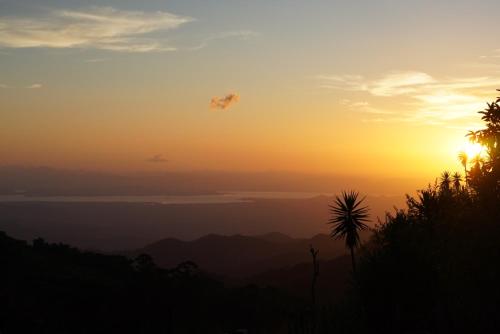 a sunset over the ocean with a palm tree at Finca Murillo in Monteverde Costa Rica