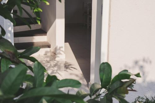 Φωτογραφία από το άλμπουμ του Casa Viveros σε Jiutepec
