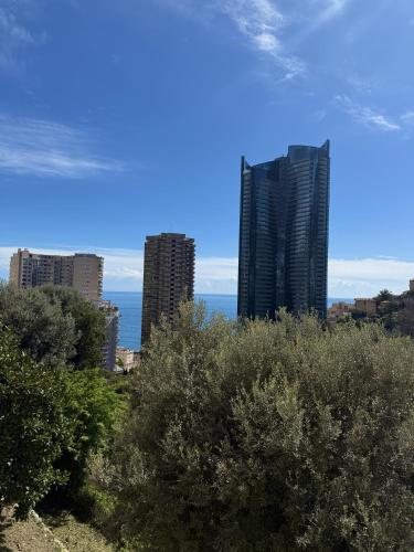 Studio de LUXE Portes de Monaco - Vue MER - Piscine - Wifi photo 66