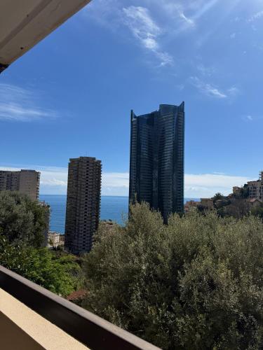 Studio de LUXE Portes de Monaco - Vue MER - Piscine - Wifi photo 61