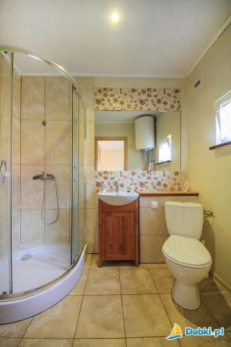 a bathroom with a shower and a toilet and a sink at Skrawek Nieba in Dąbki