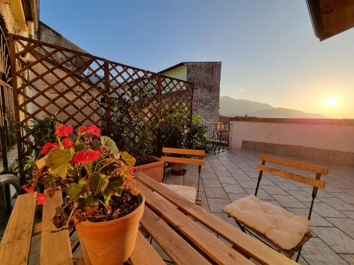 a wooden bench with a potted plant on a patio at LIMO to Host in Roccaromana
