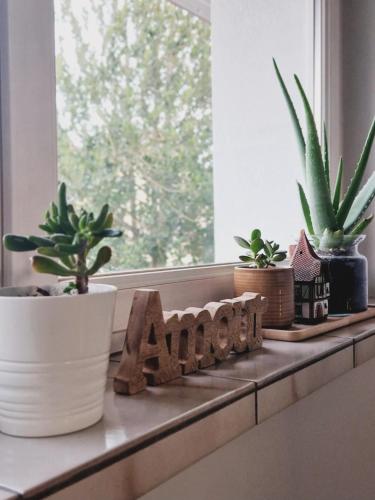 a window sill with potted plants and a word aid at La Maison des Petits Bonheurs in Rixheim