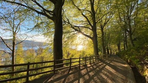 a path in the woods with trees and a fence at Modern Suites, Excellent Location in the heart of Bergen in Bergen