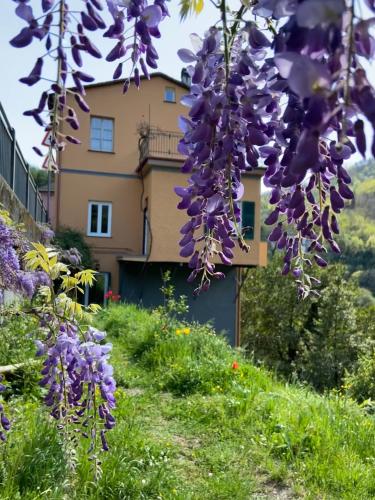 a building with purple flowers in front of it at C'era un Voltino Guest House in Borgonovo