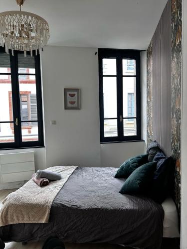 - une chambre avec un lit, des fenêtres et un lustre dans l'établissement Magnifique chambre, à Montauban
