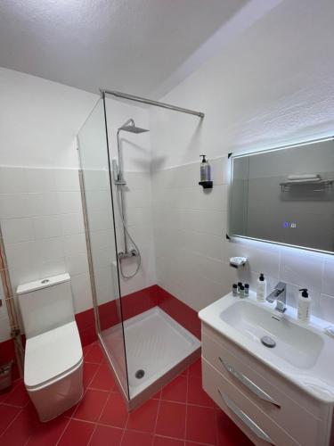 a bathroom with a shower and a toilet and a sink at Cozy City Studio in Gjirokastër