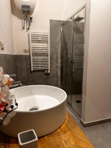 a bathroom with a white tub and a shower at Villa Sveva in Làconi