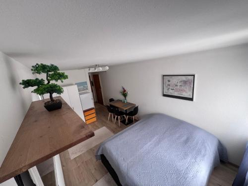 a bedroom with a bed and a botted tree in it at Zentrale 1-Zimmer-Wohnung Marzili Bern in Bern
