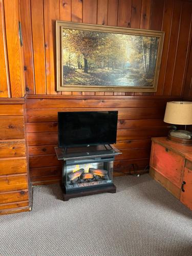 a fireplace in a room with a fire in it at Sleeping Bear Riverside Cabins in Honor