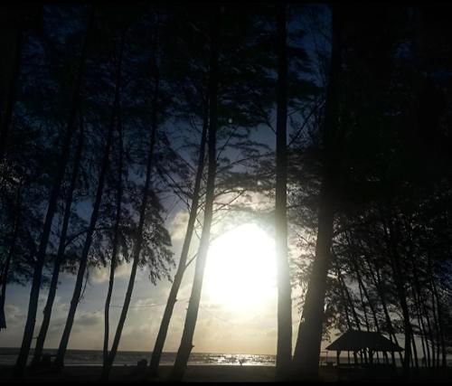 a sun shining through some trees on a beach at Chalet Barokah, Bachok in Bachok