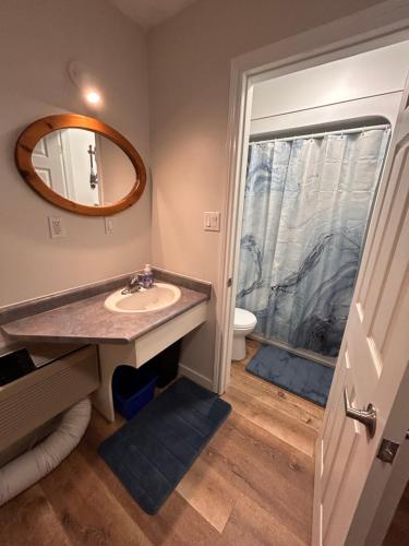 a bathroom with a sink and a toilet and a mirror at Smokehouse Suites and Stay in Guelph