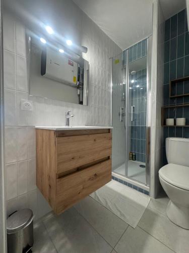 une salle de bain avec un lavabo, des toilettes et une douche dans l'établissement Le refuge marin - Canet - front de mer, à Canet