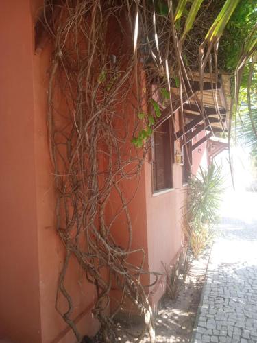 Gambar di galeri bagi Farol Village di Fortim