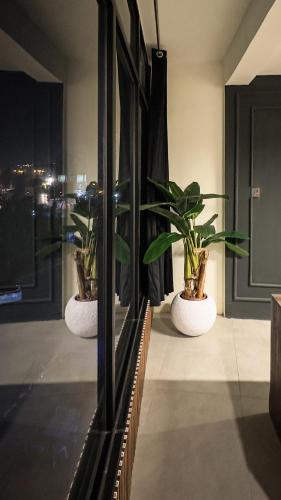 two potted plants sitting on a window sill at Zenith Riverview in Rawalpindi